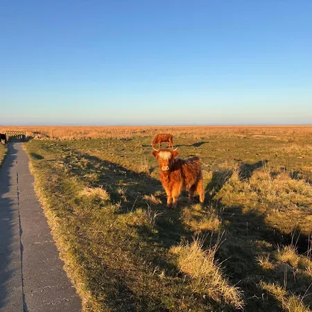 Sky & - Endless Sea I Hochwertige, Stilvolle Wohnungen, Strandnah, Boxspringbett, Mit Garten 아파트 장크트 피터 오르딩