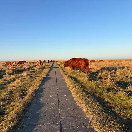 Sky & - Endless Sea I Hochwertige, Stilvolle Wohnungen, Strandnah, Boxspringbett, Mit Garten 아파트 *